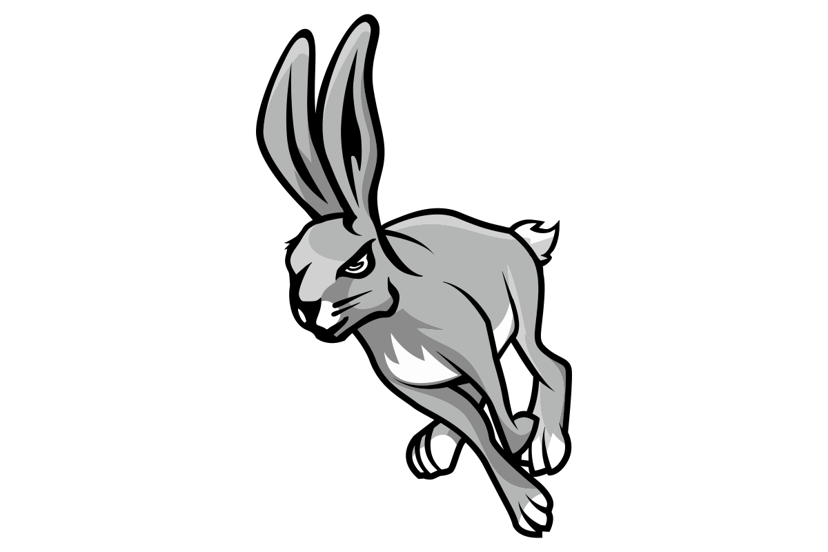 District Logo